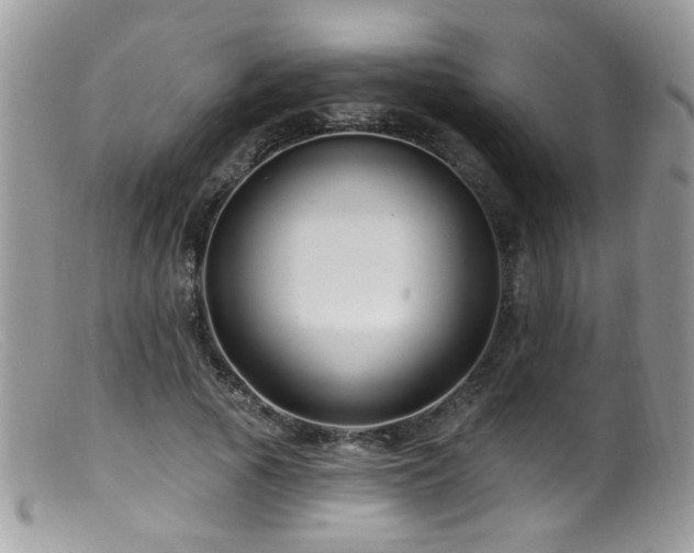 X0000099520737200805151524