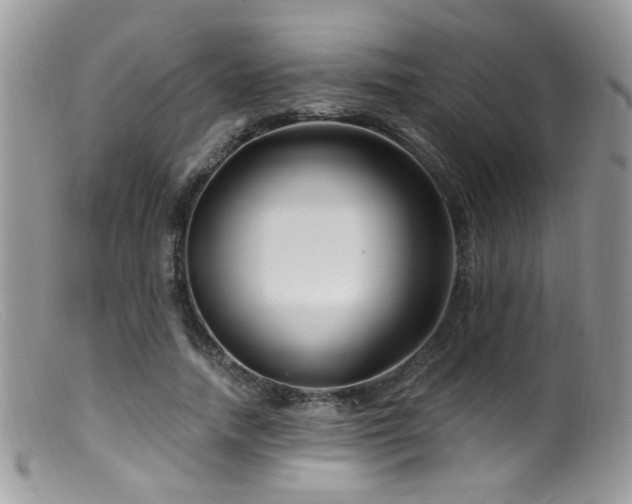 X0000099520738200805151524