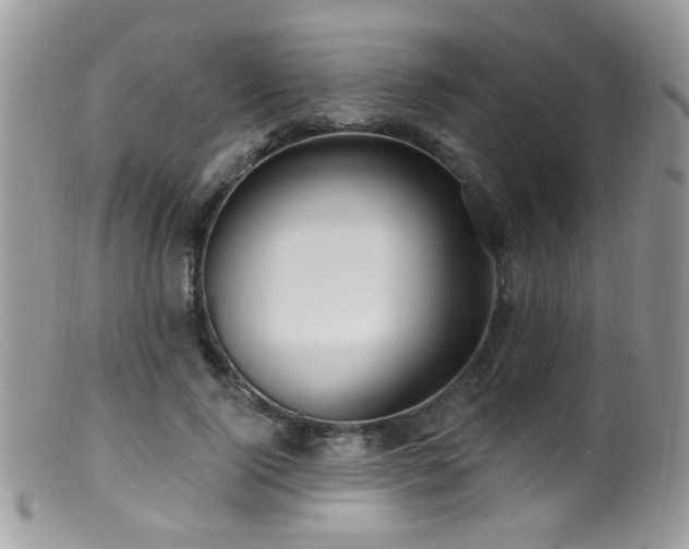 X0000099520740200805151524