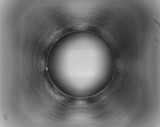 X0000099520741200805151524