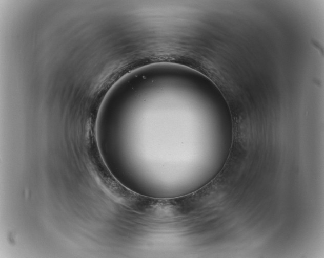 X0000099520742200805151524