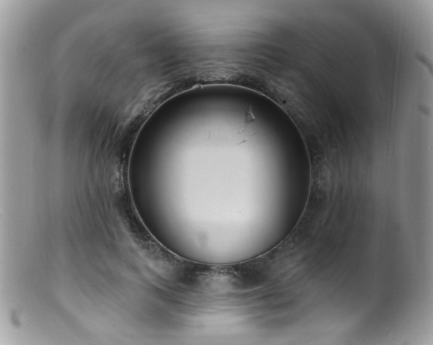 X0000099520743200805151524