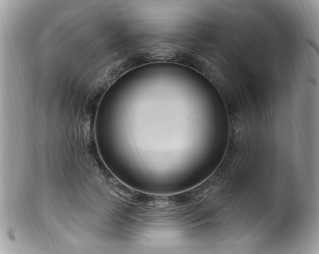 X0000099520745200805151524