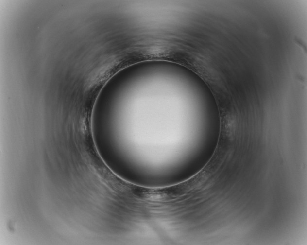 X0000099520746200805151524