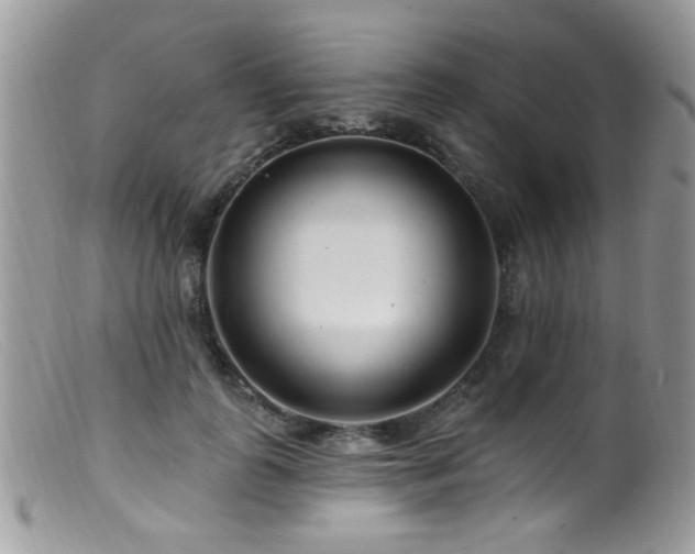 X0000099520747200805151524