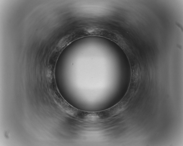 X0000099520749200805151524