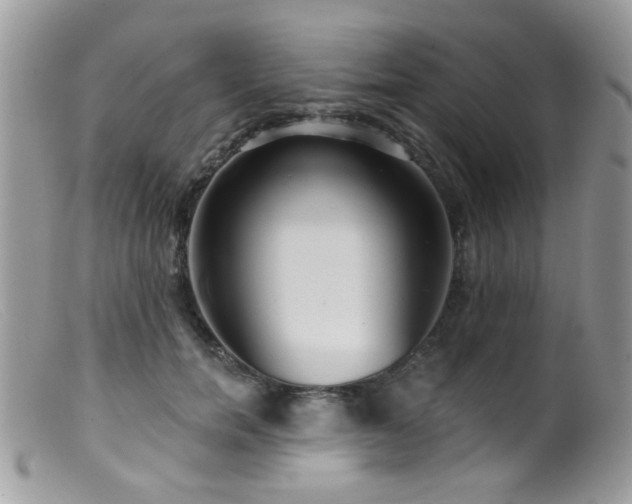 X0000099520750200805151524