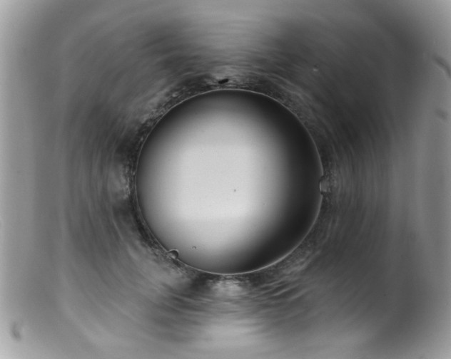 X0000099520751200805151524