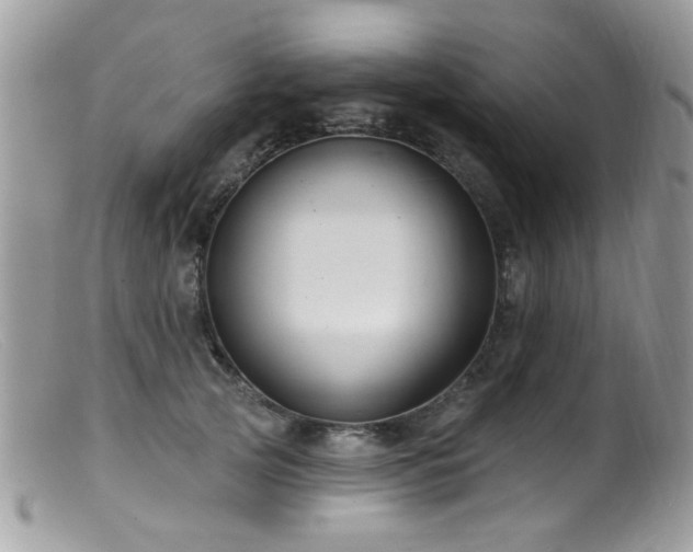 X0000099520753200805151524