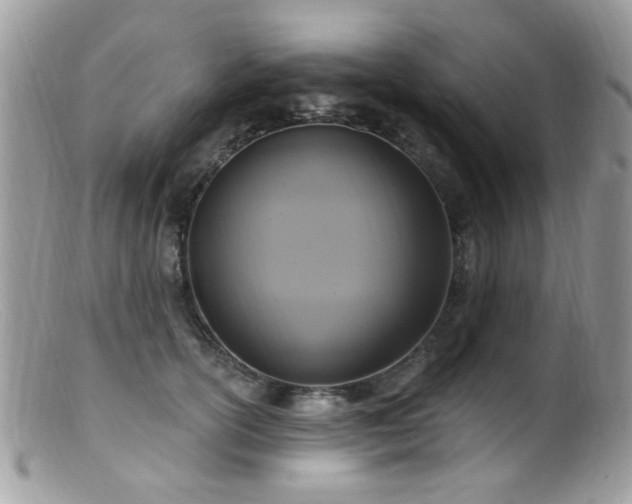 X0000099520754200805151524