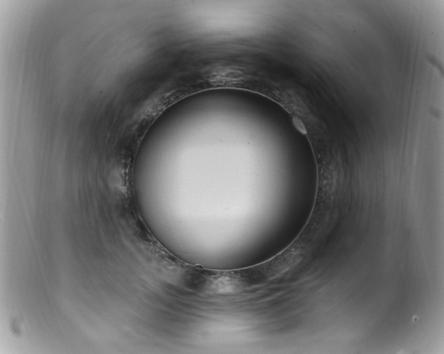 X0000099520755200805151524