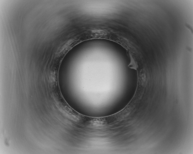 X0000099520756200805151524