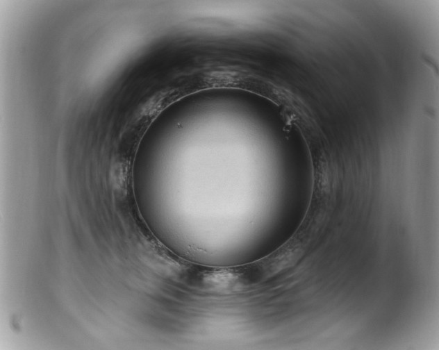 X0000099520759200805151524