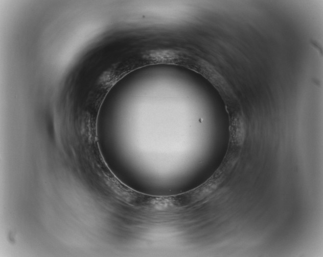 X0000099520762200805151524
