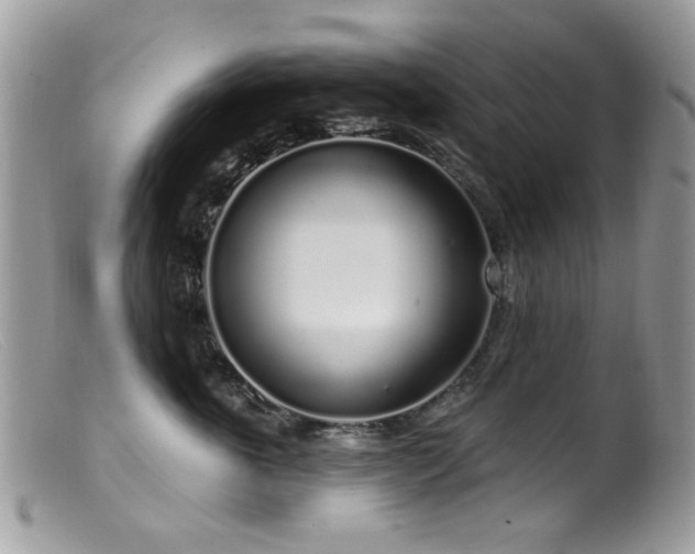 X0000099520763200805151524