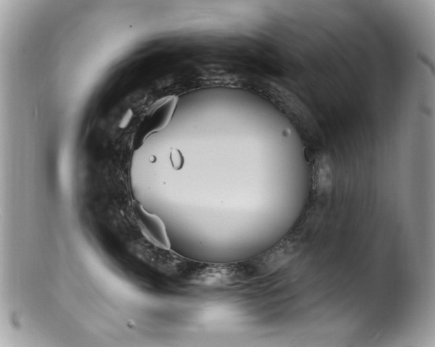 X0000099520764200805151524