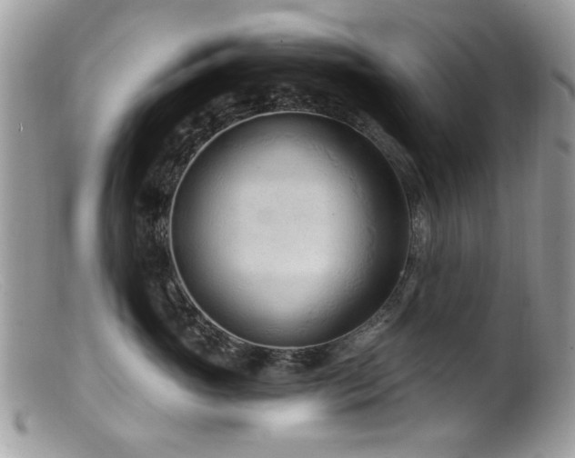 X0000099520765200805151524