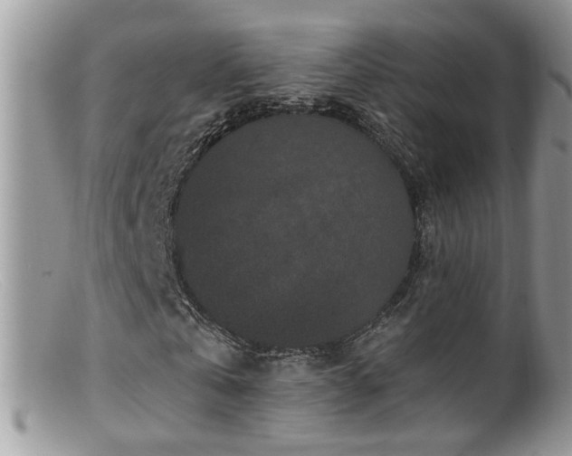 X0000099520769200805151524