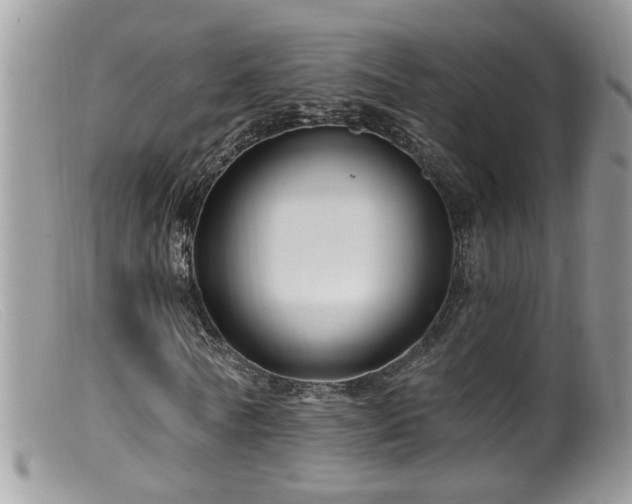 X0000099520770200805151524