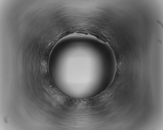 X0000099520772200805151524