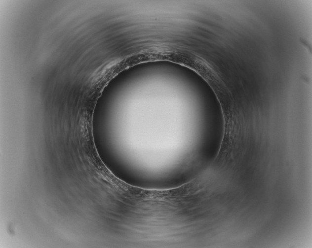 X0000099520773200805151524