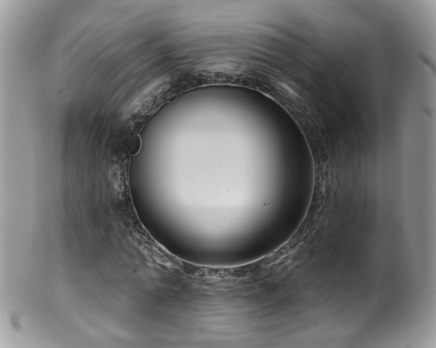 X0000099520774200805151524