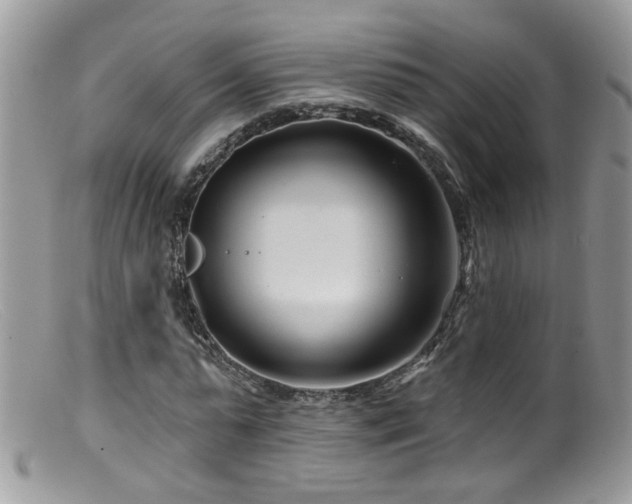 X0000099520775200805151524