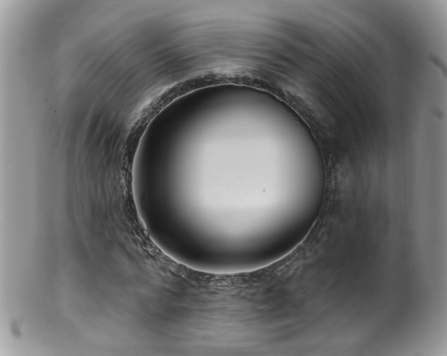 X0000099520776200805151524