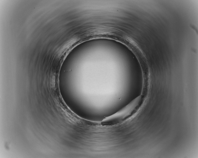 X0000099520777200805151524