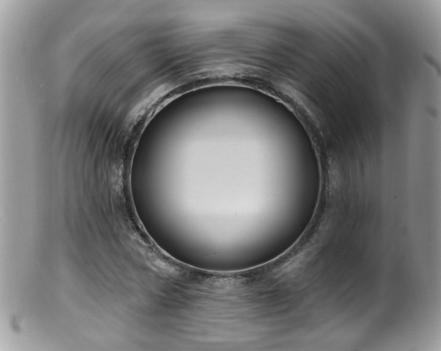 X0000099520778200805151524