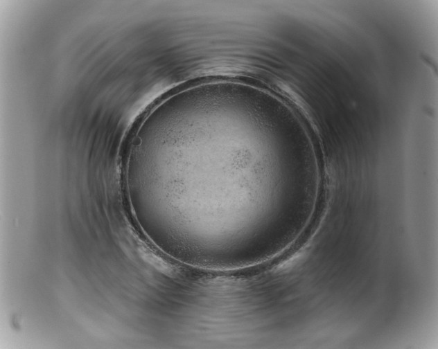 X0000099520779200805151524