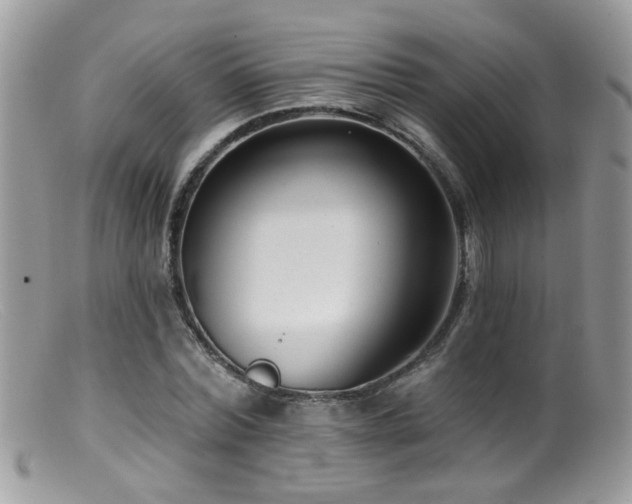 X0000099520780200805151524