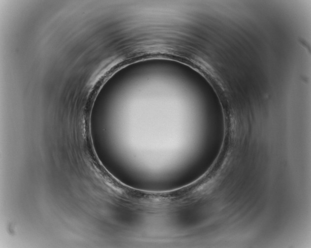 X0000099520782200805151524