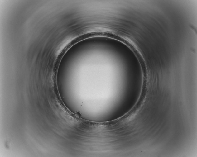 X0000099520783200805151524