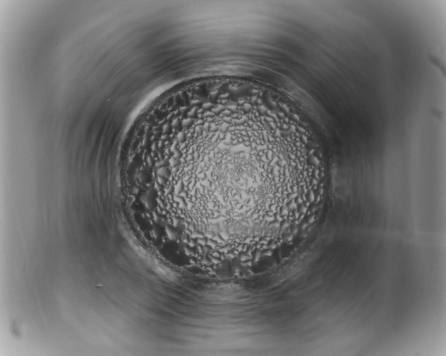 X0000099520784200805151524