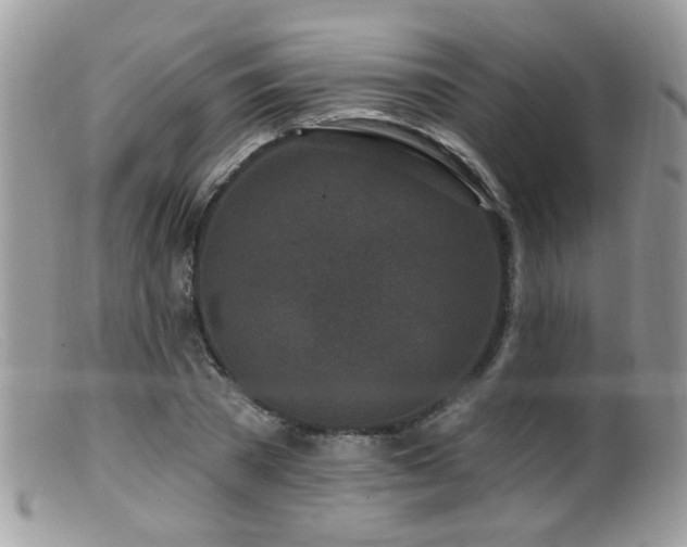X0000099520785200805151523