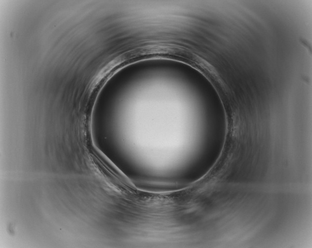X0000099520786200805151523
