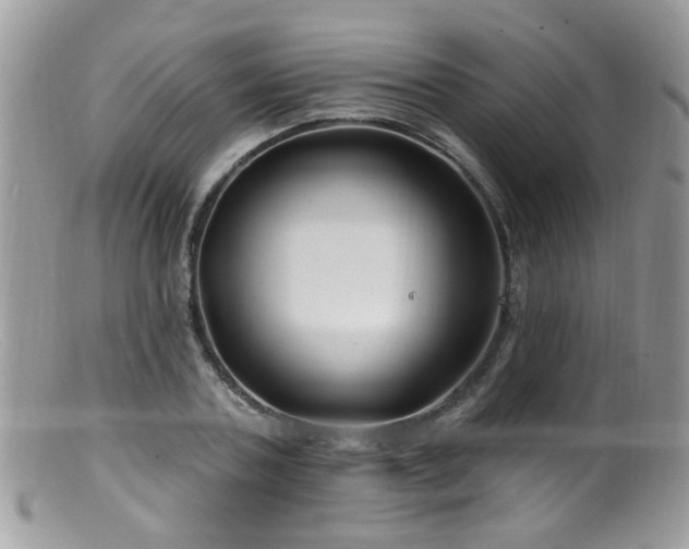 X0000099520787200805151523