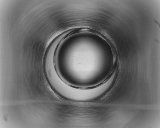 X0000099520789200805151523