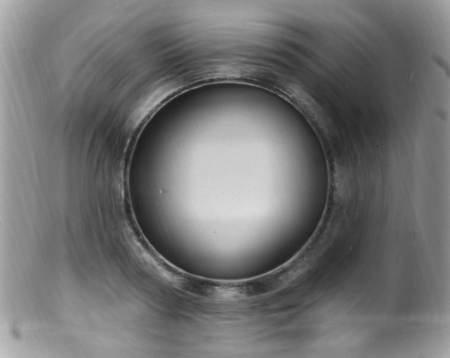 X0000099520794200805151523