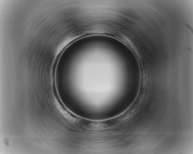 X0000099520795200805151523