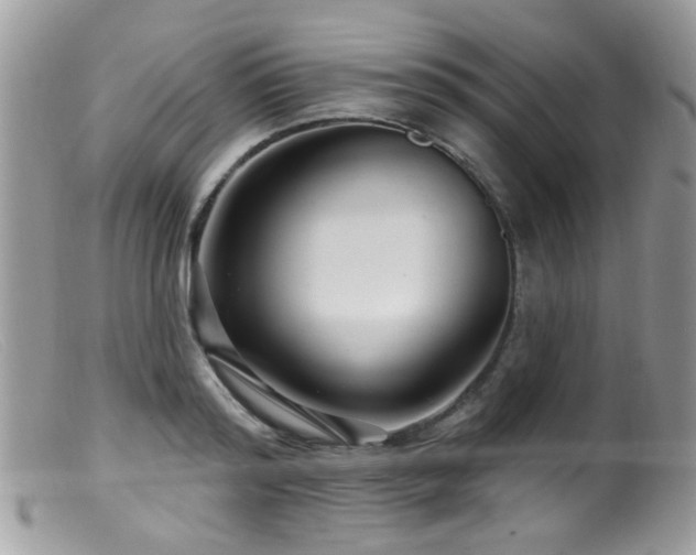 X0000099520796200805151523