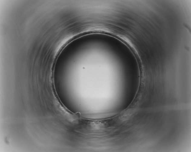 X0000099520799200805151523