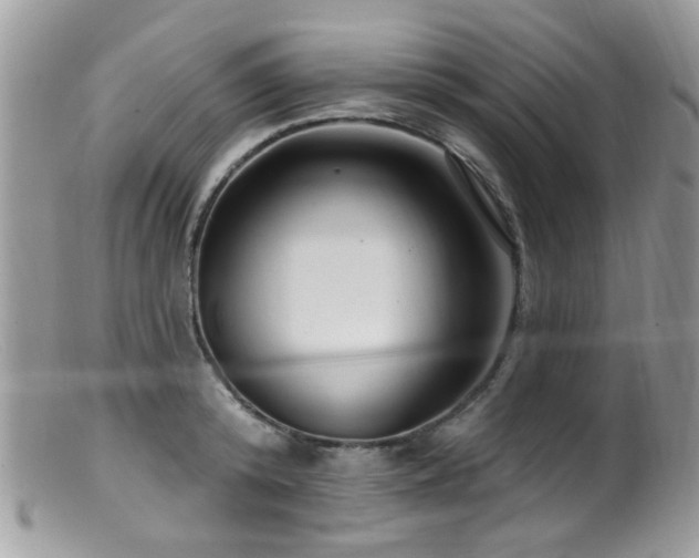 X0000099520800200805151523