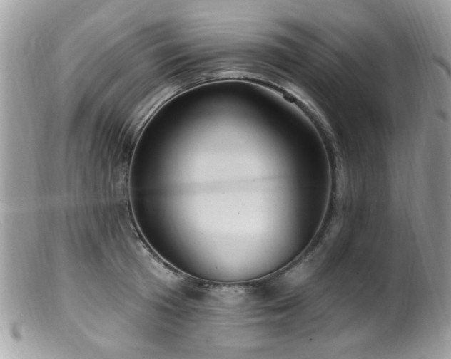X0000099520801200805151523