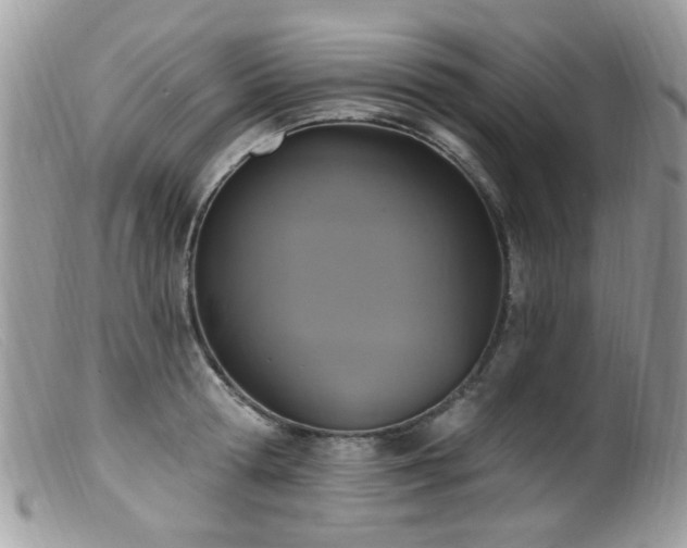 X0000099520802200805151523