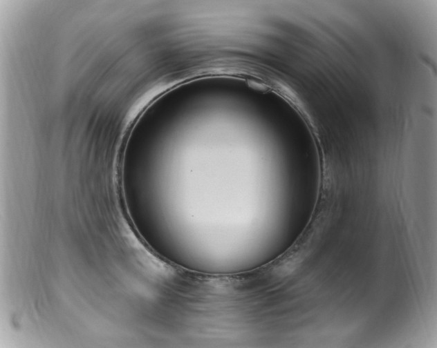X0000099520803200805151523