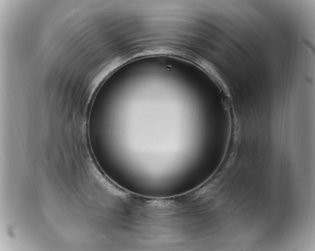 X0000099520805200805151523