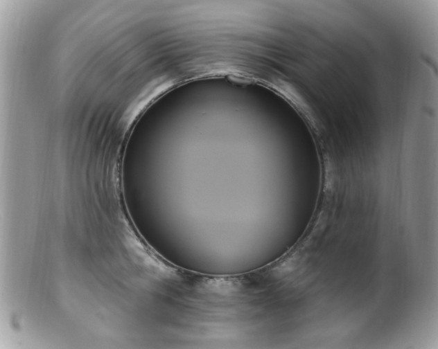 X0000099520806200805151523