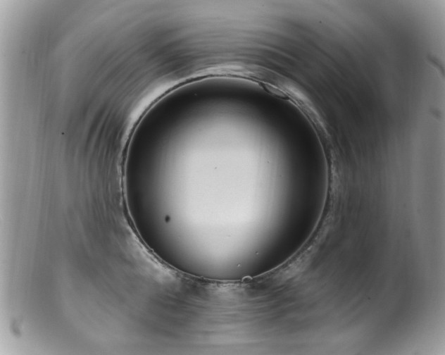 X0000099520808200805151523